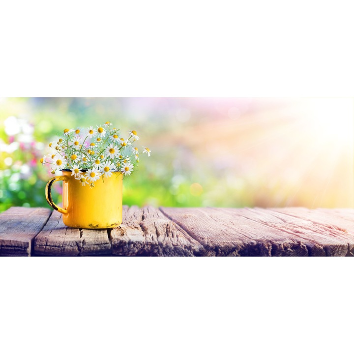 Sticla bucatarie sau baie , GLASFABRIK, Sticla securizata, 4 mm, Multicolor,2000x600 mm dkemg46