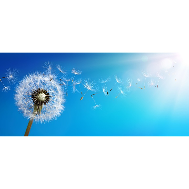 Sticla bucatarie sau baie , GLASFABRIK, Sticla securizata, 4 mm, Multicolor,2000x600 mm dkemg48