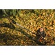 FISKARS PowerGear Teleszkópos ágvágó UPX86 (1023624)