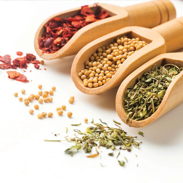 Panou decorativ din sticla securizata 6mm pentru bucatarie, protectie aragaz, antistropire, Print UV, octopus, imprimata Multicolor, 600mmx600mm oct136-60x60