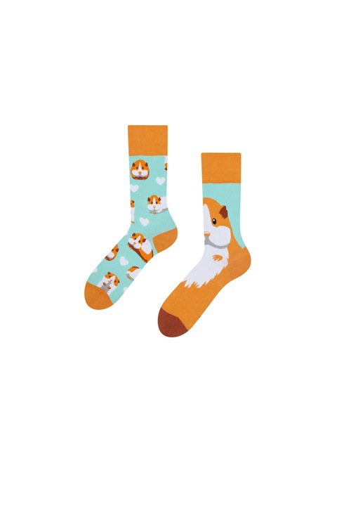 Sosete Sockyzz, Good Mood Regular Socks - Guinea Pig, Multicolor, Multicolor