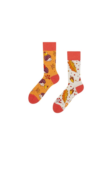 Sosete Sockyzz, Good Mood Eco Friendly Socks - Autumn Hedgehog, Multicolor, 35-38 EU