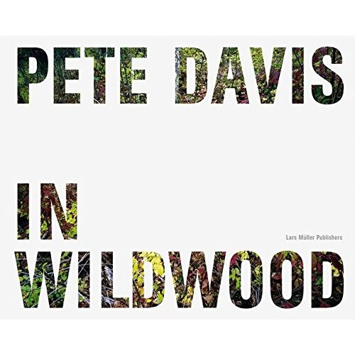 In Wildwood - Pete Davis