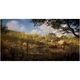 Joc Assassins Creed Valhalla Drakkar Edition pentru PlayStation 4
