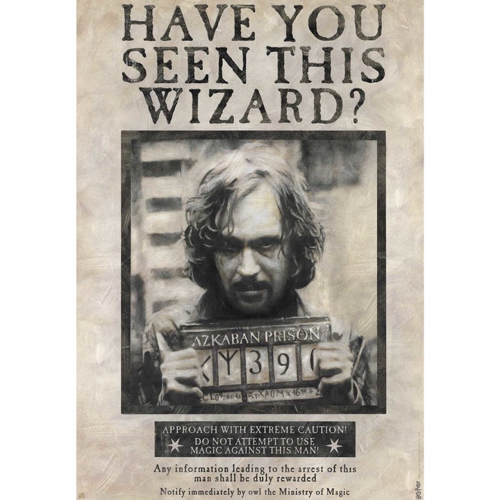 Poster Harry Potter - Wanted Sirius, Abysse Corp, 91.5x61 cm, Bej/Negru