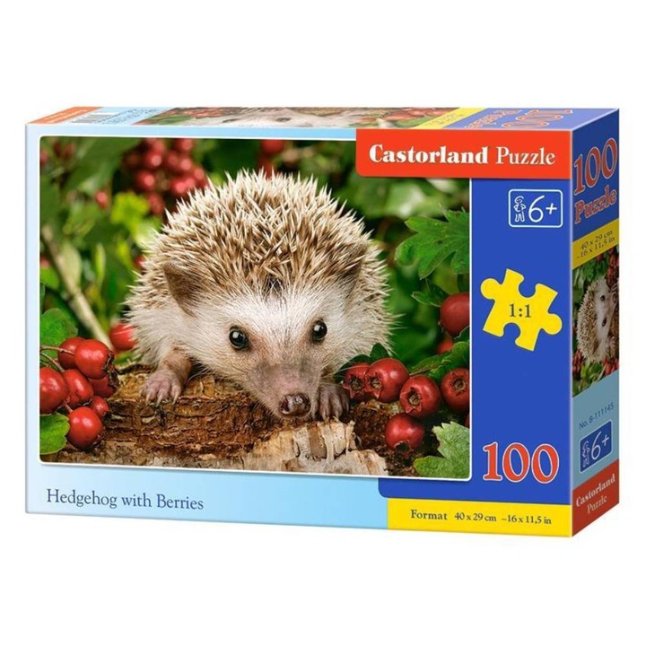Castorland Puzzle, Hedgehog with Berries, 100 darab