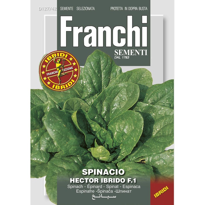 Seminte de Spanac Spinacio Hector hibrid F1