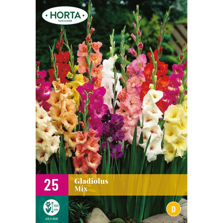 Bulbi Gladiole Mix, Holland, XL Pack, 25 buc