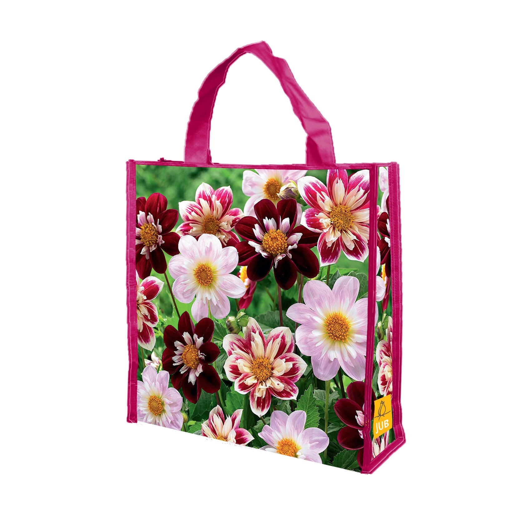 Mix Bulbi Dalii Favourite Ballet, Holland, 5 buc