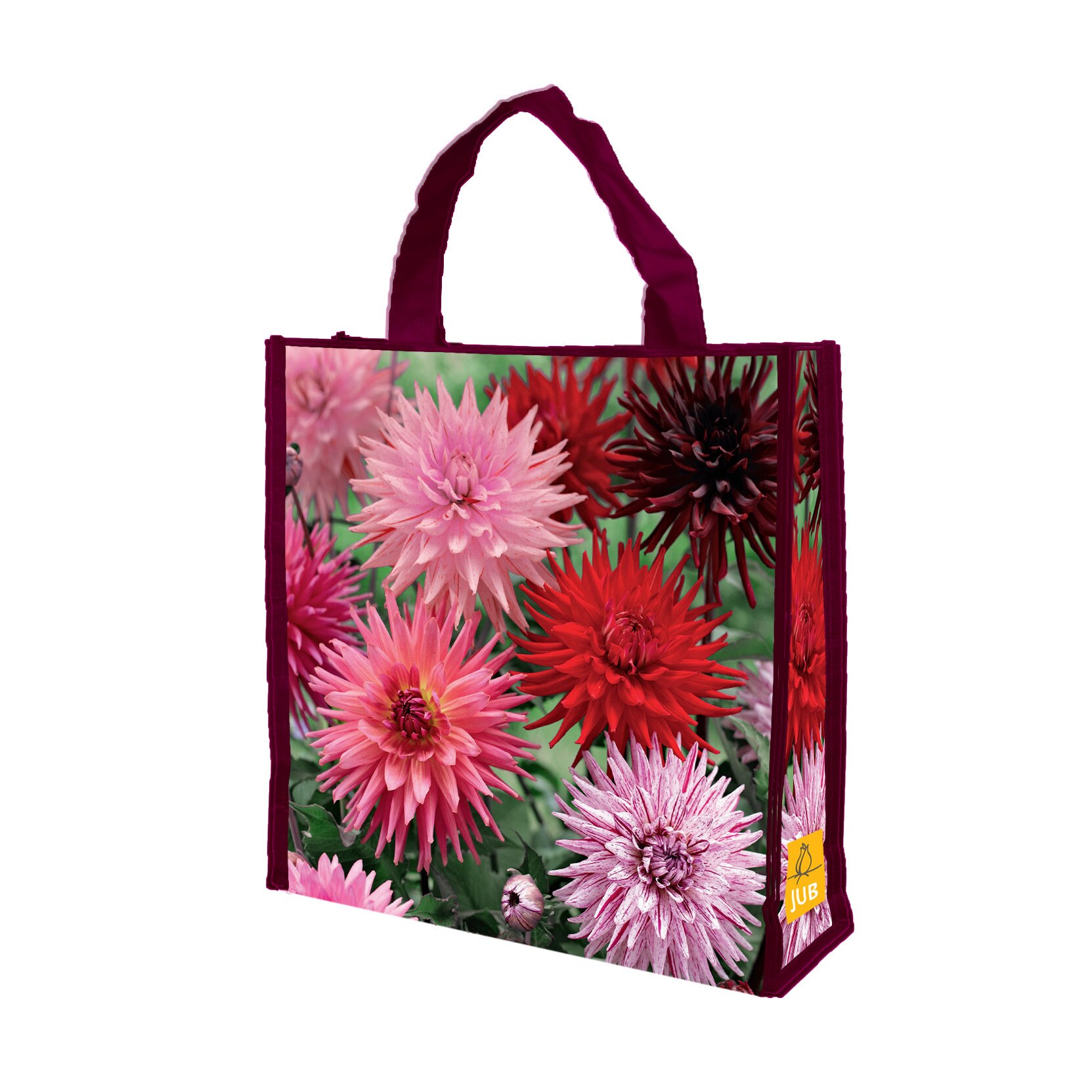 Mix Bulbi Dalii Favourite Love, Holland, 5 buc