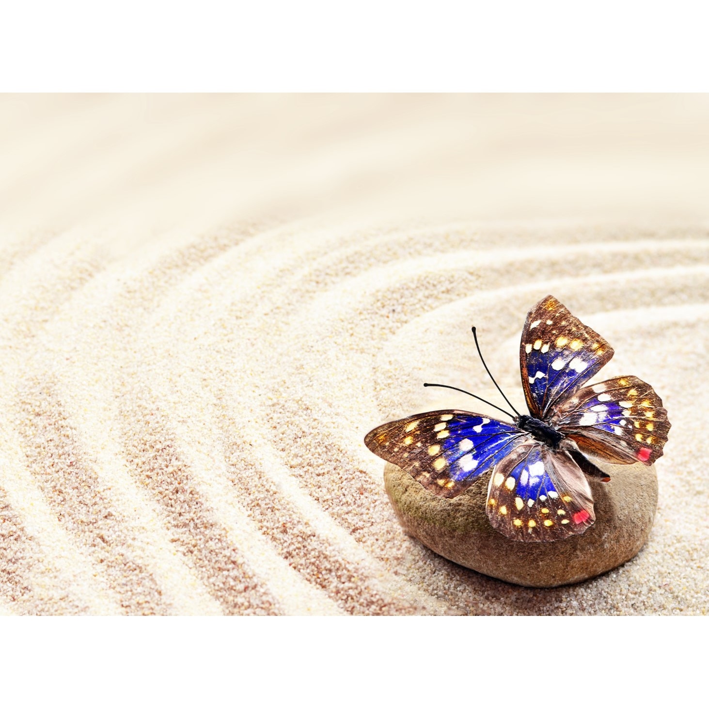 Tablou canvas Sand&Stone35, 90 x 60 cm