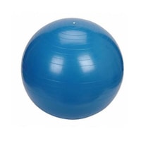 minge gonflabila 55 cm pentru gimnastica fitness recuperare albastru spartan imagen 17_0_
0