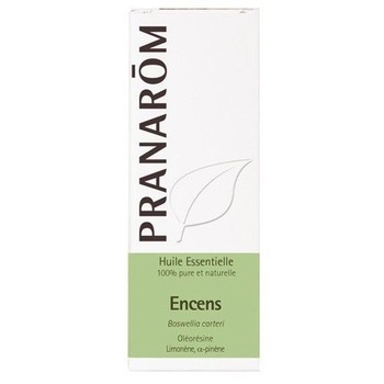Ulei Esential de Tamaie Bio 5 ml FRANKINCENSE Ulei Esential de Tamaie Bio 5 ml FRANKINCENSE