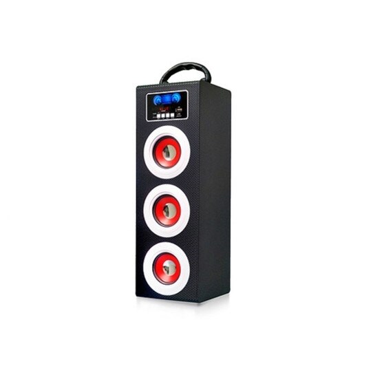 Boxa portabila, functie de karaoke, USB/SD, Radio FM, microfon inclus