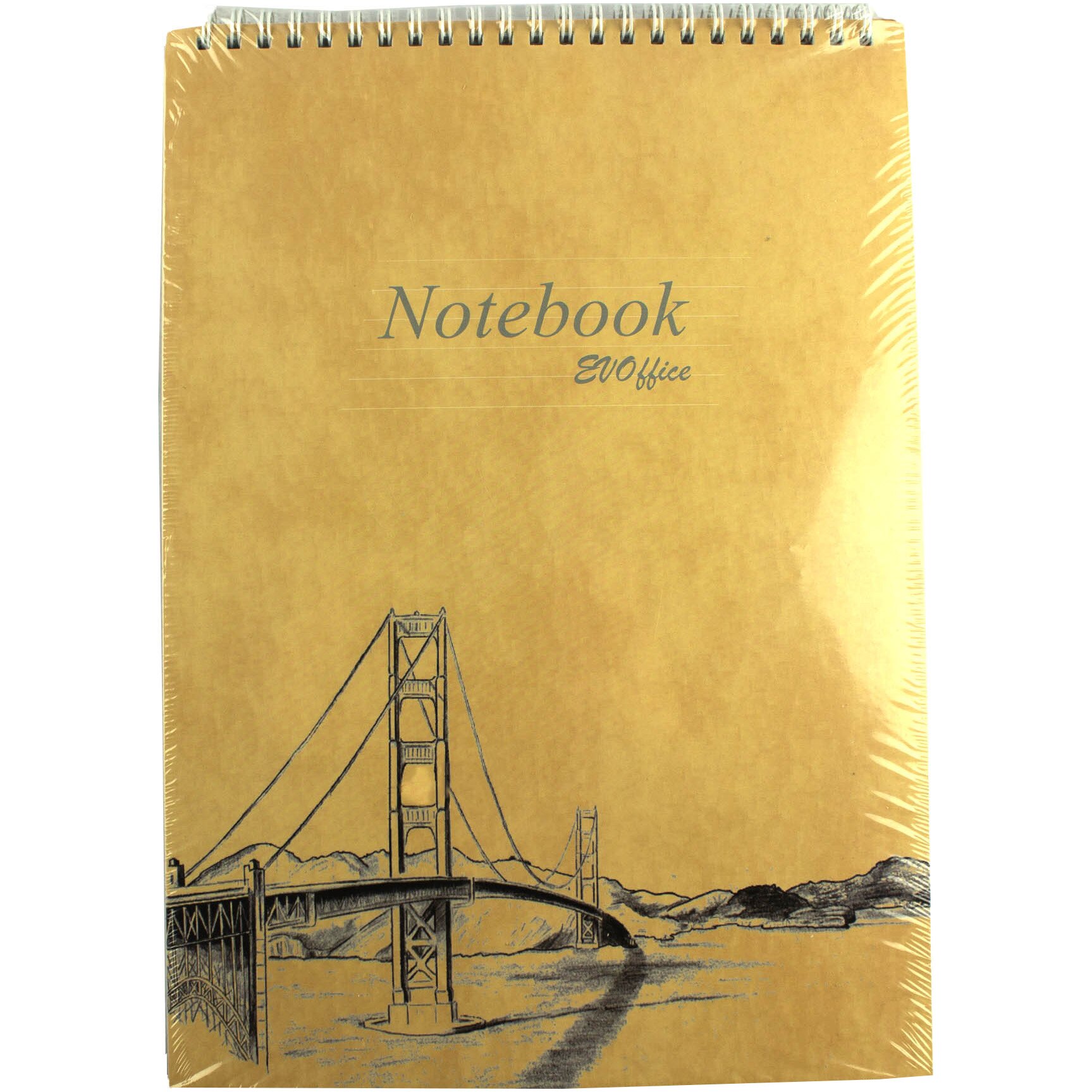 Set 10 bucati Blocnotes EVOffice Economic Line A4 cu spira metalica, 50 file, dictando