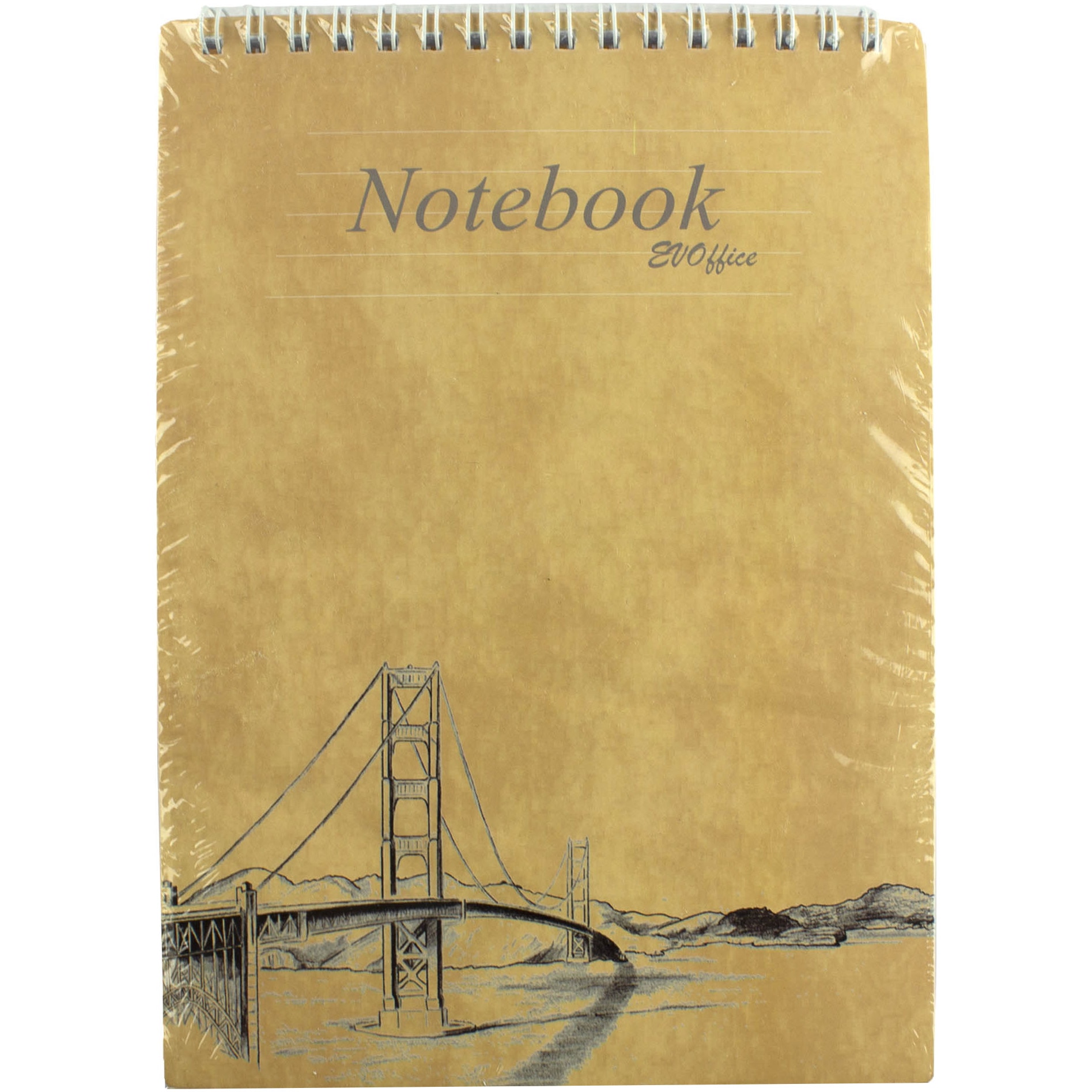 Set 10 bucati Blocnotes EVOffice A5 cu spira metalica, 50 file, dictando