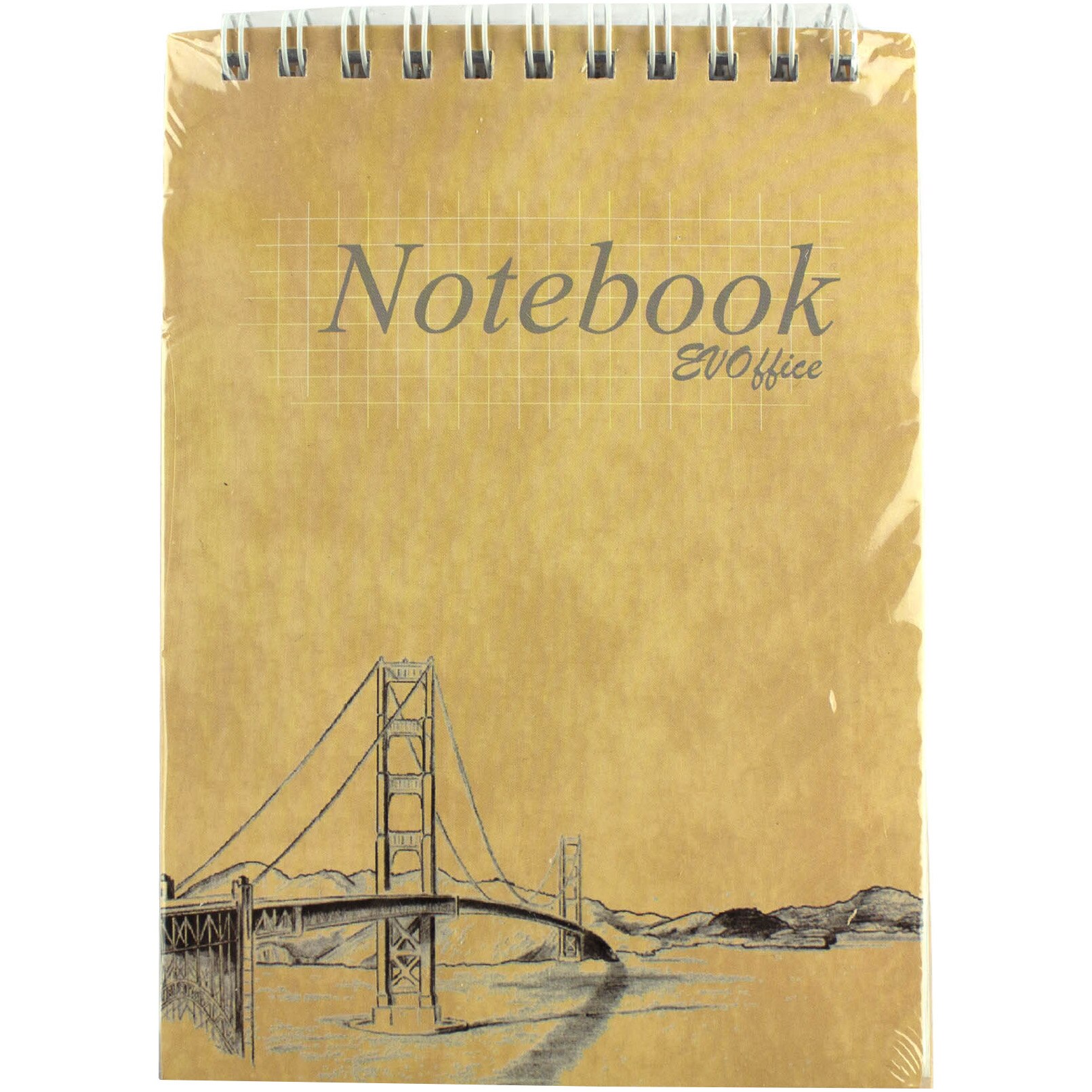 Set 10 bucati Blocnotes EVOffice A6 cu spira metalica, 50 file, dictando