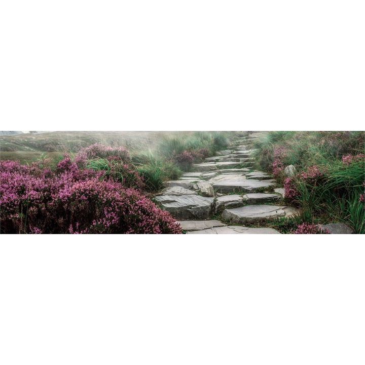 Sticla bucatarie sau baie , securizata , GLASFABRIK 4 mm, Multicolor,2400x600 mm dkemg57