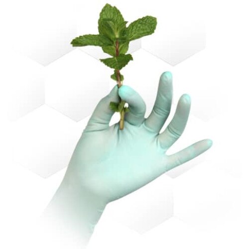 Set 100 bucati Manusi Aurelia Refresh Latex, nepudrate, aroma menta racoritoare, marimea XL