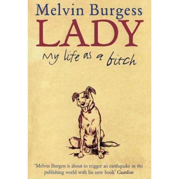 Lady - Melvin Burgess