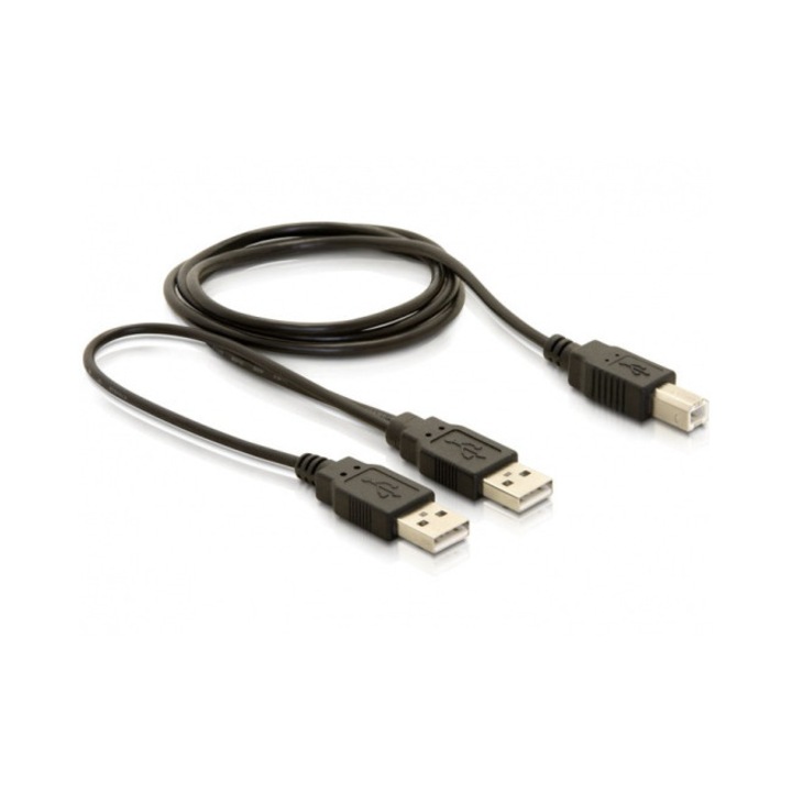 DeLock USB 2.0-B > USB-A power + power/data cable, 136920, Kábel