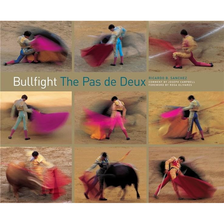 Bullfight - Ricardo B. Sanchez