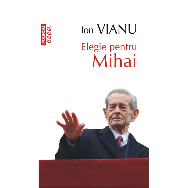 Elegie pentru Mihai, Ion Vianu