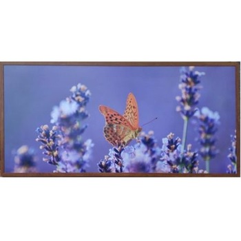 Panou DE PERETE Dragus 900w FLUTURE, cu radiatii infrarosii, 125/60/2 cm Panou DE PERETE Dragus 900w FLUTURE, cu radiatii infrarosii, 125/60/2 cm