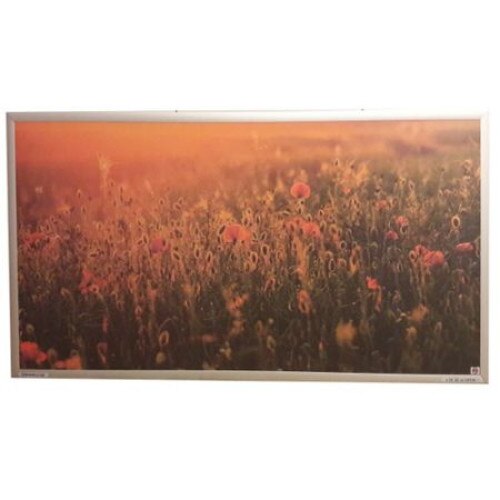 Panou Radiant Dragus 900w CAMP MACI