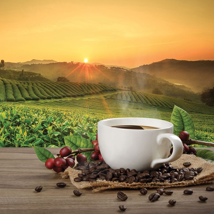 Panou decorativ din sticla securizata 6mm pentru bucatarie, peisaj cafea, oct146 60x60cm