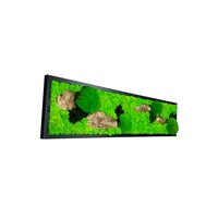 tablou licheni naturali stabilizati muschi de padure si decor scoarta jolie arts dimensiune 25 x 100 cm rama neagra imagen 8_0_
0