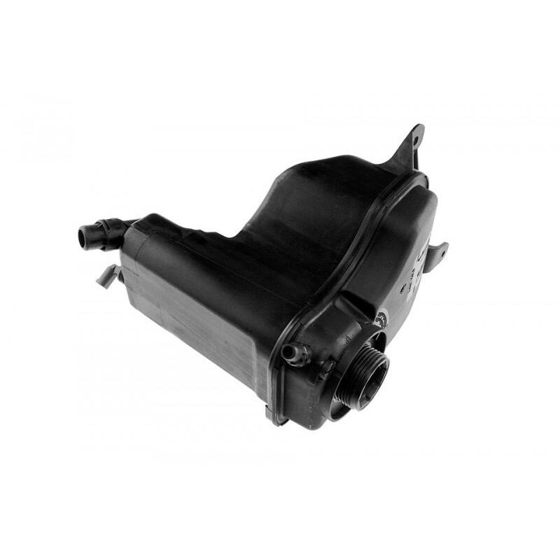 Vas expansiune BMW Z4 (2009->) [E89] 17137519368