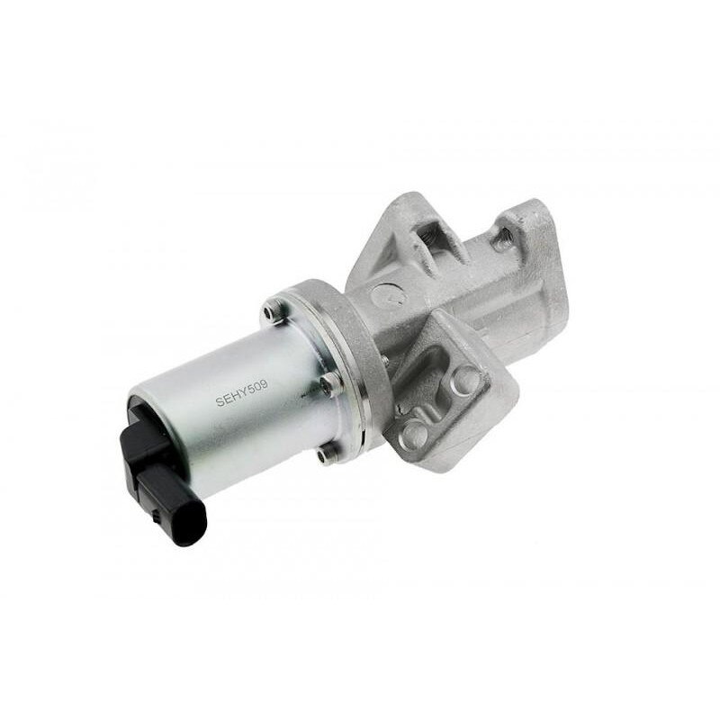 Egr Hyundai H1 2007-