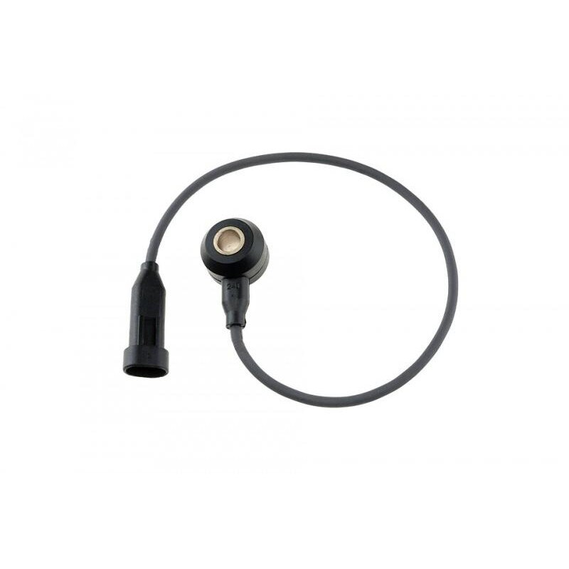 Senzor vibrochen 24163 Opel Zafira A (1999-2005)[T98] 10456240
