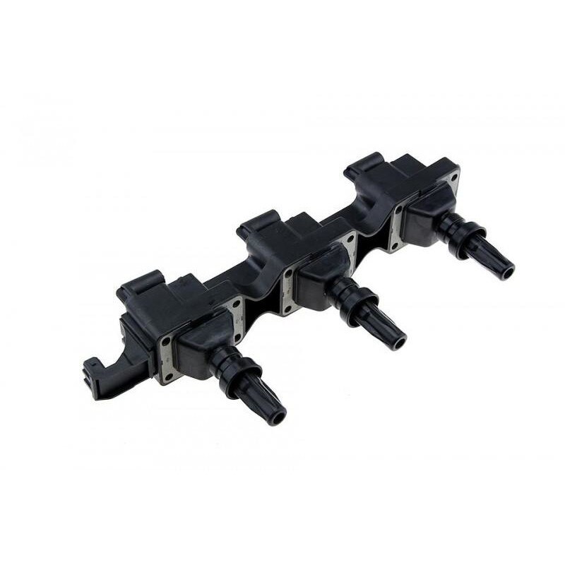 Bobina inductie 21813 Renault Safrane II (1996-2000)[B54_] 5970.A1