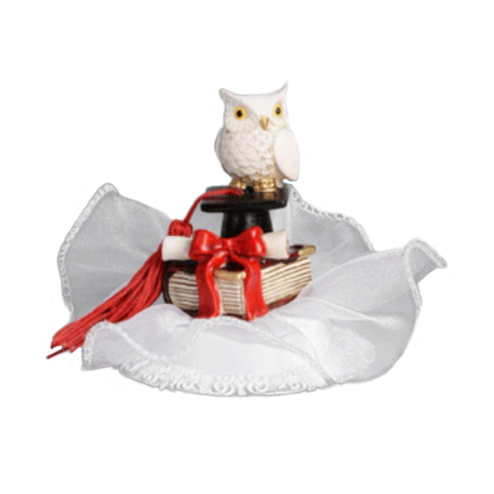 Decor tort cu ocazia absolventei #1 - Modecor