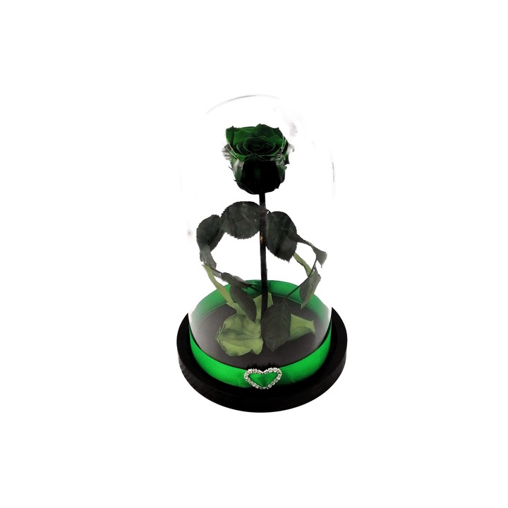 Trandafir criogenat, verde, pe pat de petale, in cupola de sticla 27cm cu baza neagra
