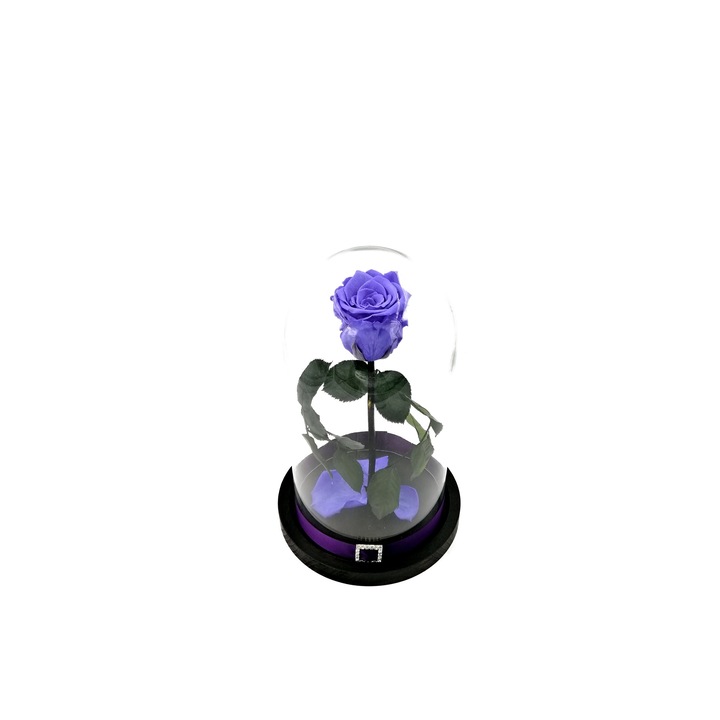 Trandafir criogenat, indigo, pe pat de petale, in cupola de sticla 27cm cu baza neagra