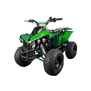 Cauți Atv 14 Ani Alege Din Oferta Emag Ro