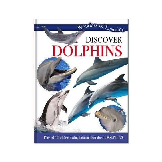 Discover Dolphin