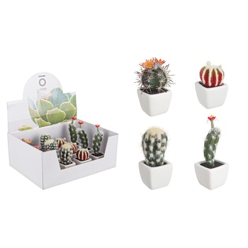 Set 4 plante suculente in ghiveci ceramica, cactus, multicolor Set 4 plante suculente in ghiveci ceramica, cactus, multicolor