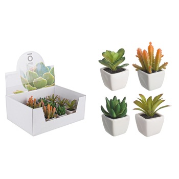 Set 4 plante suculente in ghiveci ceramica,multicolor Set 4 plante suculente in ghiveci ceramica,multicolor