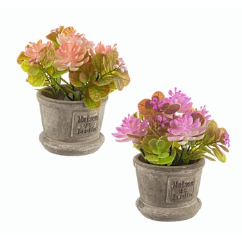 Set 2 flori ghiveci, Lutea, Multicolor Set 2 flori ghiveci, Lutea, Multicolor