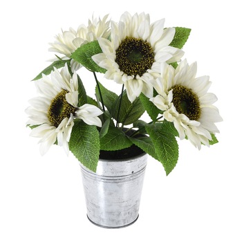 Floarea Soarelui, Alba in ghiveci de metal, H 27 cm Floarea Soarelui, Alba in ghiveci de metal, H 27 cm