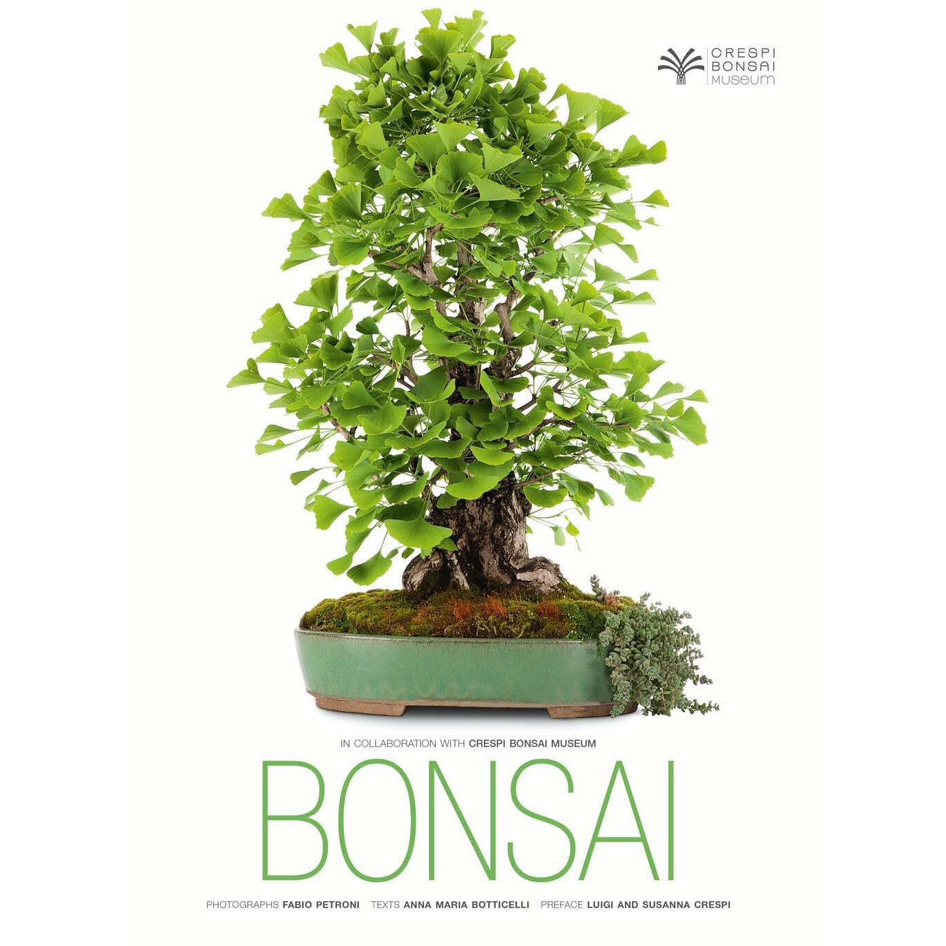 Bonsai - Anna Maria Botticelli