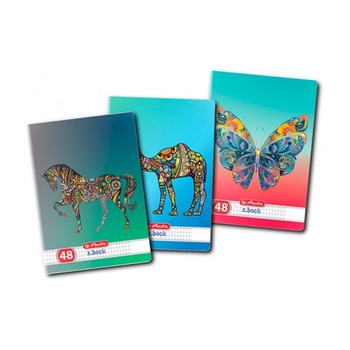 Set 10 Caiete A5, 48 File, 70 g/mp, Matematica, Motiv Zentangle Set 10 Caiete A5, 48 File, 70 g/mp, Matematica, Motiv Zentangle