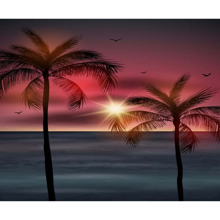 Tapéta Pálmafák3, 300 x 250 cm