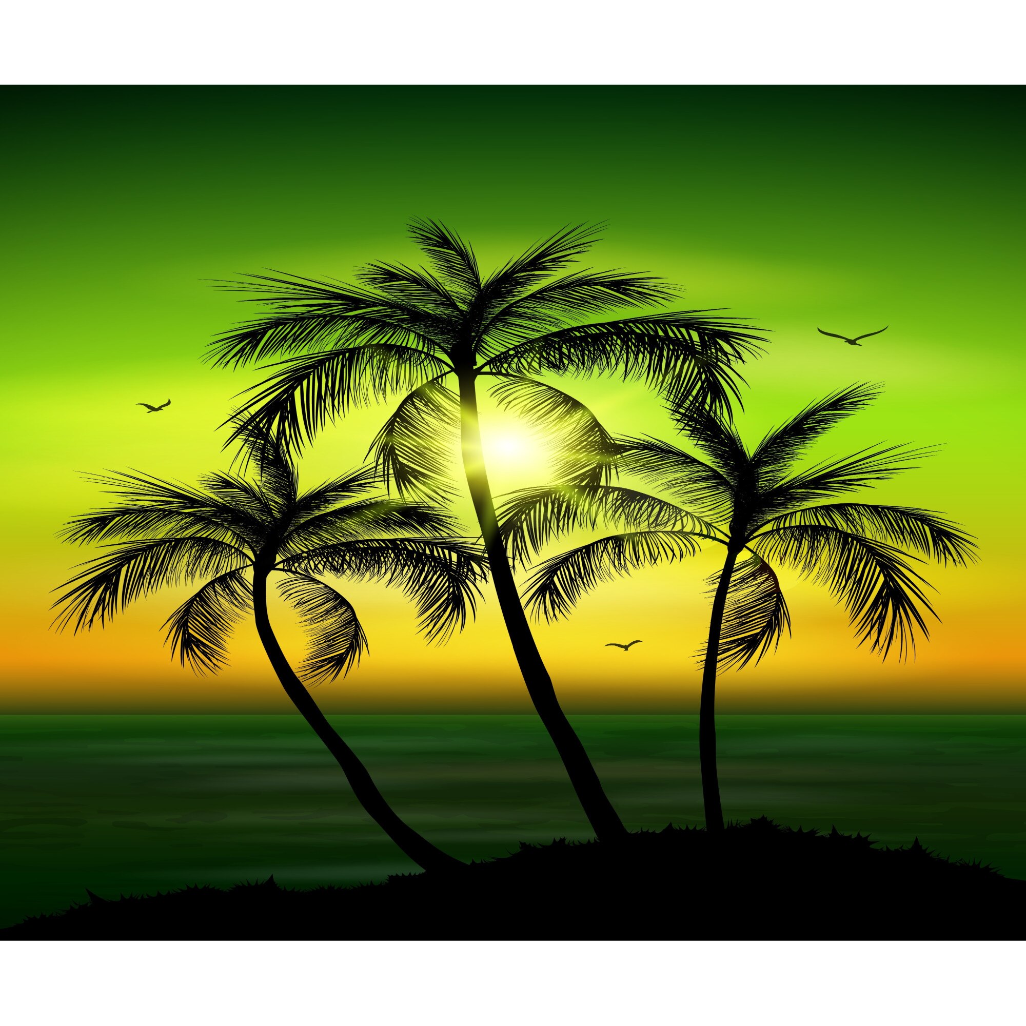 Autocolant Palmieri2, 270 x 200 cm