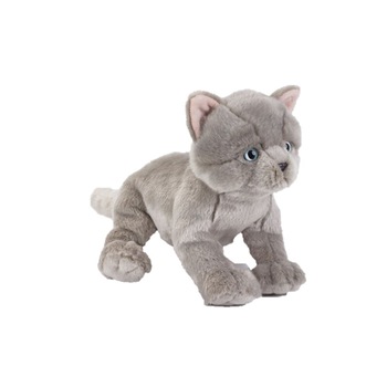 Jucarie de plus Venturelli National Geografic Pisica British cu par scurt 26 cm Jucarie de plus Venturelli National Geografic Pisica British cu par scurt 26 cm