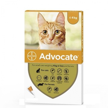 Pipeta antiparazitara, Advocate pisici, 0-4 kg Pipeta antiparazitara, Advocate pisici, 0-4 kg